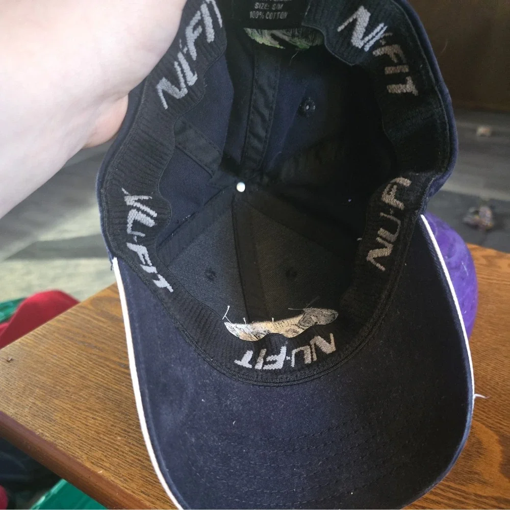 AMP Energy Hat NASCAR #88 Dale Earnhardt Jr  Navy Blue Chase‎ Authentics VGC